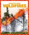 Wildfires cover