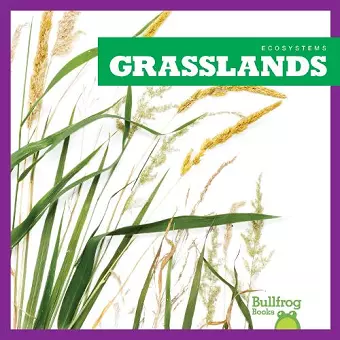 Grasslands cover