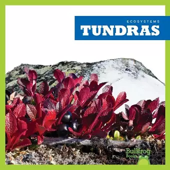 Tundras cover