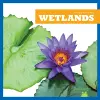 Wetlands cover