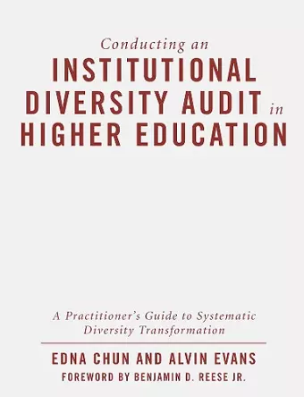 Conducting an Institutional Diversity Audit in Higher Education cover