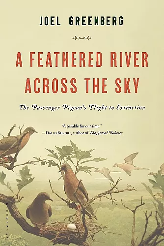 A Feathered River Across the Sky cover