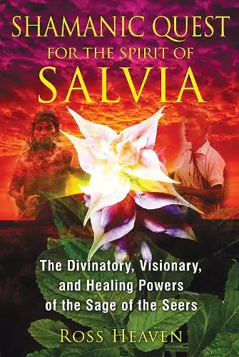 Shamanic Quest for the Spirit of Salvia cover