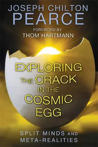 Exploring the Crack in the Cosmic Egg cover