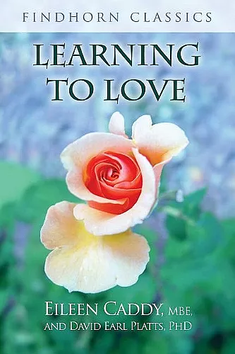 Learning to Love cover