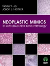 Neoplastic Mimics in Soft Tissue and Bone Pathology cover