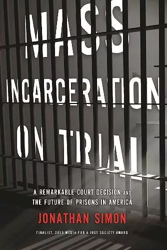 Mass Incarceration On Trial cover