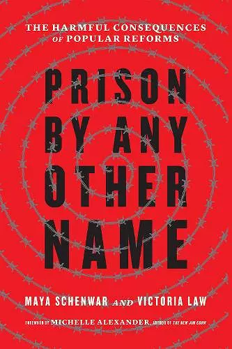 Prison by Any Other Name cover