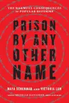 Prison by Any Other Name cover