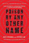 Prison by Any Other Name cover