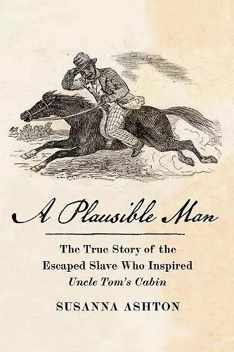 A Plausible Man cover