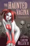 The Haunted Vagina cover