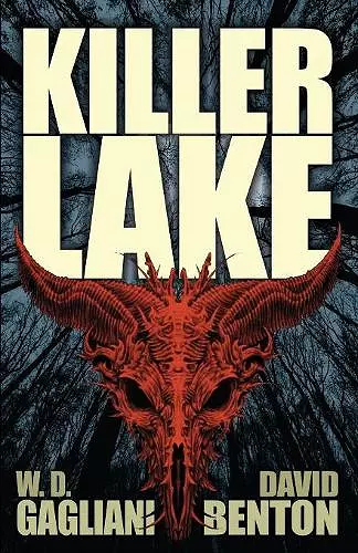 Killer Lake cover