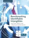 Benchmarking Identifiable Intangibles and Their Useful Lives in Business Combinations, Second Edition cover