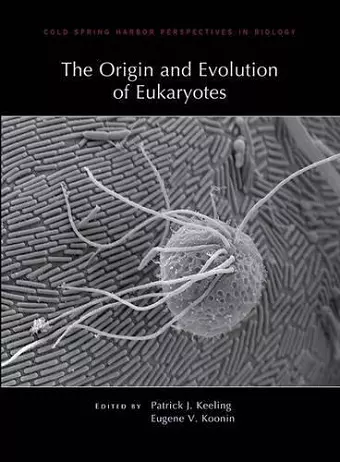 The Origin and Evolution of Eukaryotes cover