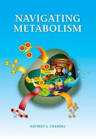 Navigating Metabolism cover