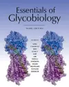 Essentials of Glycobiology, Third Edition cover