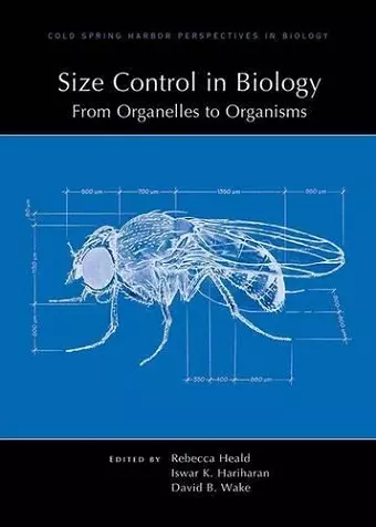 Size Control in Biology: From Organelles to Organisms cover