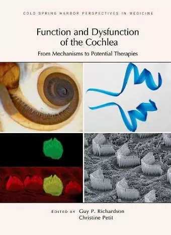 Function and Dysfunction of the Cochlea cover
