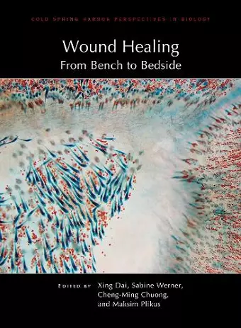 Wound Healing: From Bench to Bedside cover