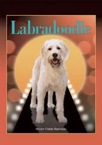 Labradoodle cover