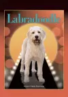 Labradoodle cover