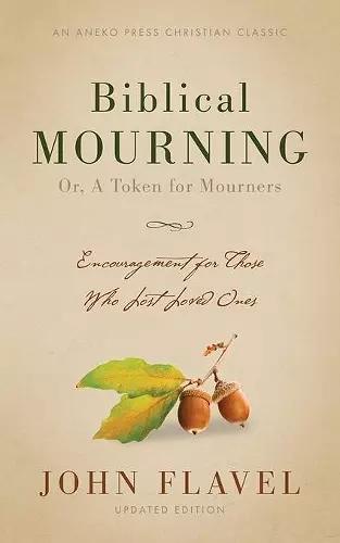 Biblical Mourning cover