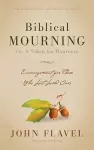 Biblical Mourning cover