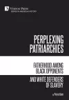 Perplexing Patriarchies: Fatherhood Among Black Opponents and White Defenders of Slavery cover