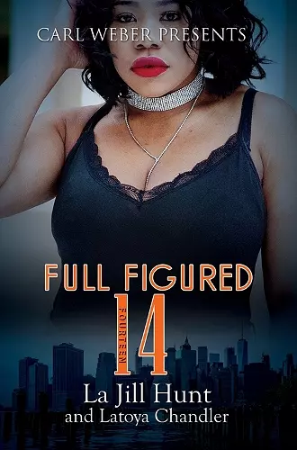 Full Figured 14 cover