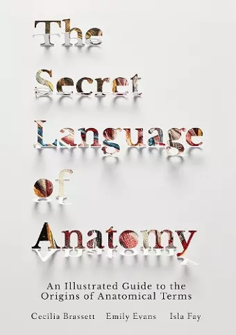 The Secret Language of Anatomy cover