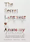 The Secret Language of Anatomy cover