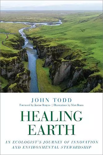 Healing Earth cover