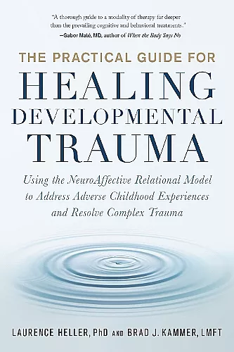 The Practical Guide for Healing Developmental Trauma cover
