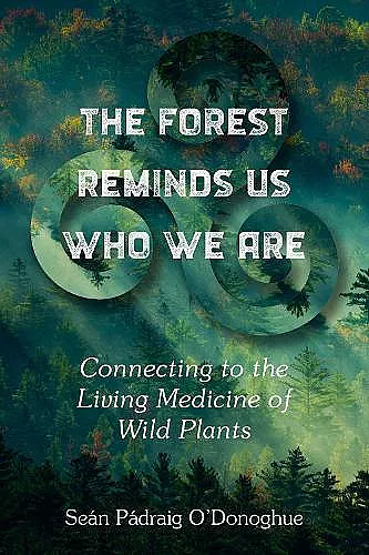 The Forest Reminds Us Who We Are cover