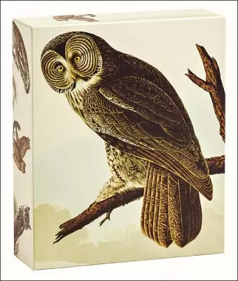 Audubon Owls QuickNotes cover