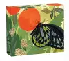 Butterflies QuickNotes cover