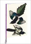 Magpies, James Audubon A4 Notebook cover