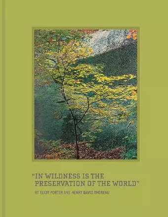 In Wildness cover