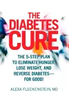 The Diabetes Cure cover