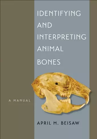 Identifying and Interpreting Animal Bones cover
