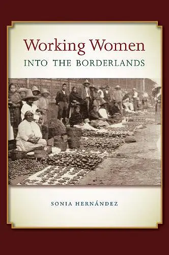 Working Women Into the Borderlands cover