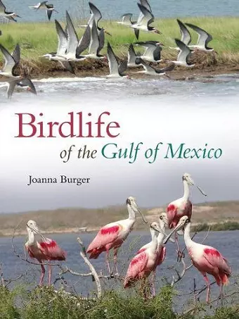 Birdlife of the Gulf of Mexico cover