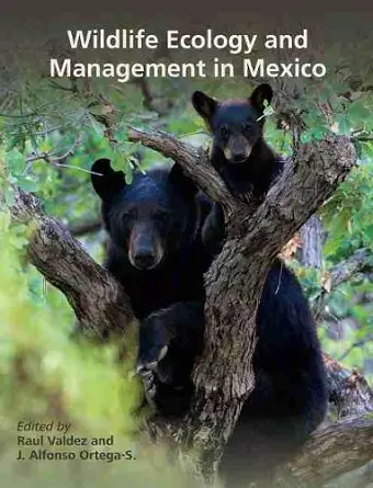 Wildlife Ecology and Management in Mexico cover