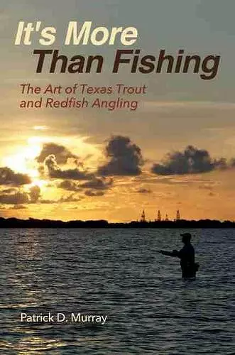 It's More Than Fishing cover