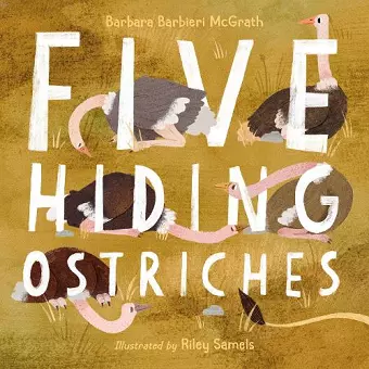 Five Hiding Ostriches cover
