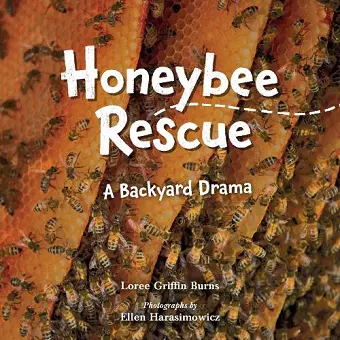 Honeybee Rescue cover