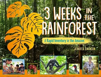 3 Weeks in the Rainforest cover