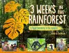 3 Weeks in the Rainforest cover