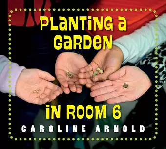 Planting a Garden in Room 6 cover